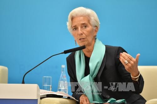 IMF warns of protectionist threat to global growth - ảnh 1